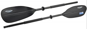 Shorline Kayak Paddles